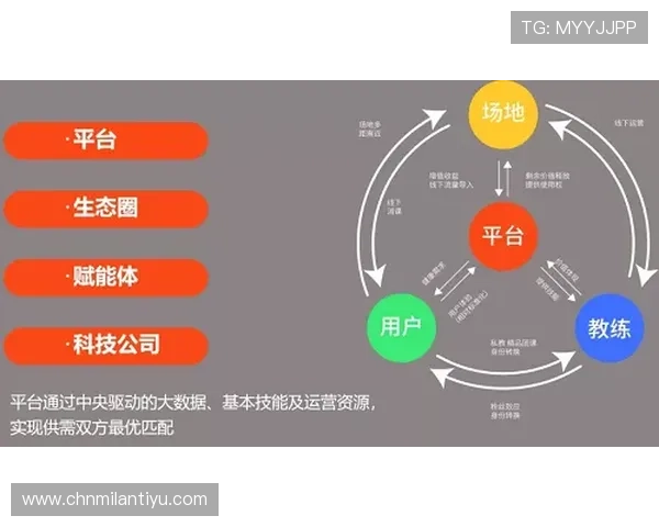 乐动体育网址登录流程详解让你轻松进入体育直播和赛事资讯页面